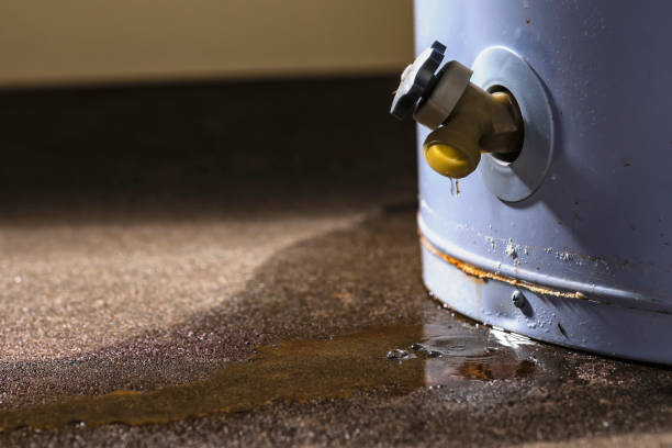 Best Sewage cleanup and water damage restoration  in Lavallette, NJ