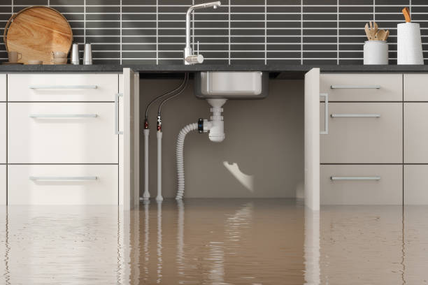 Best 24-hour water damage restoration  in Lavallette, NJ